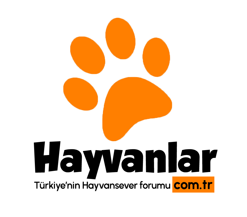 www.hayvanlar.com.tr
